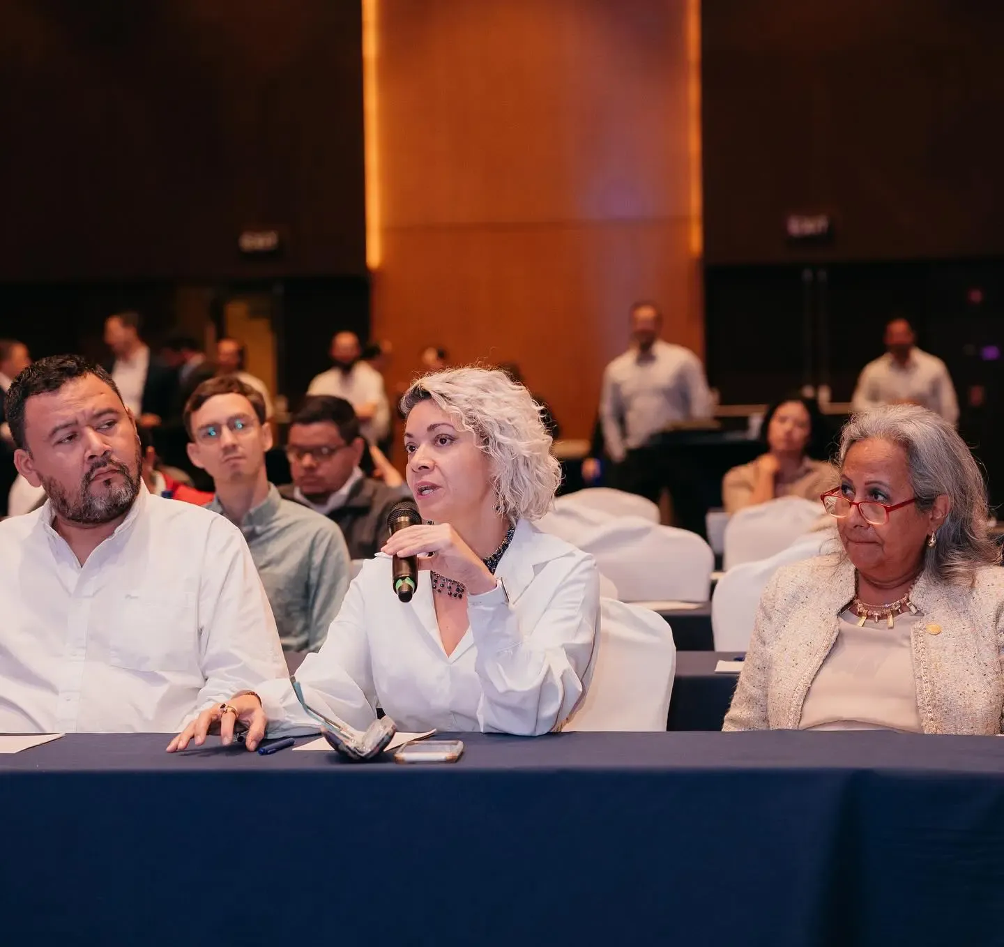 Ana Carmona / Presidenta en Asociación de Emprendedores de Costa Rica